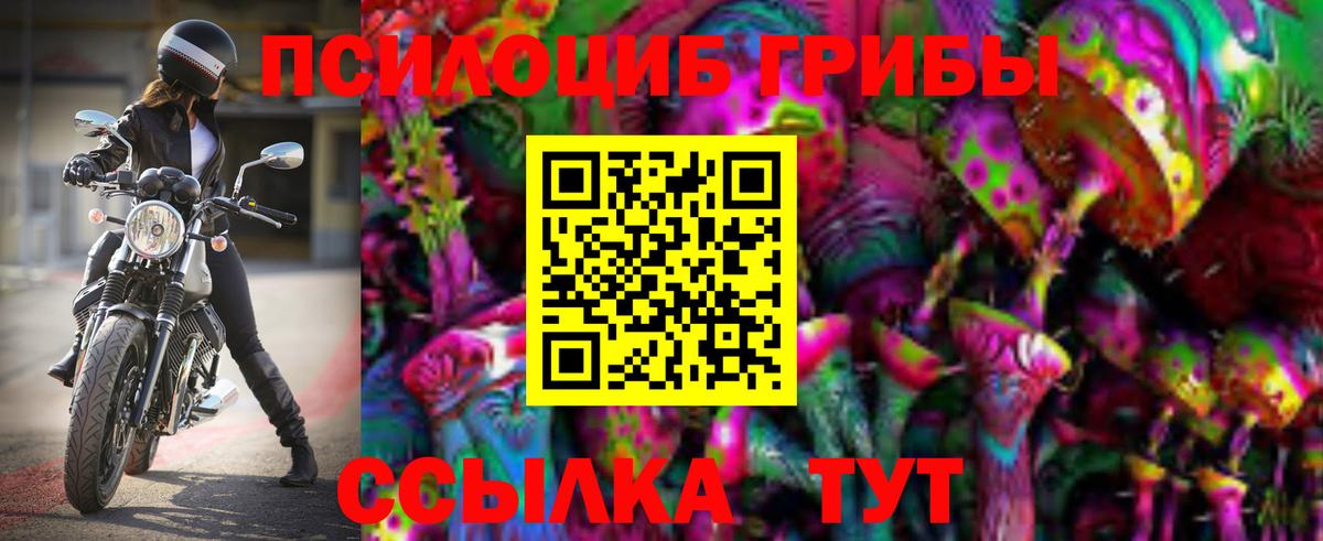 Галлюциногенные грибы Magic Shrooms  Вход с VPN  Лыткарино  Псилоцибиновые грибы Cubensis 